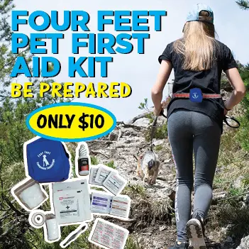 Poster graphic with pet first aid kit purchase details